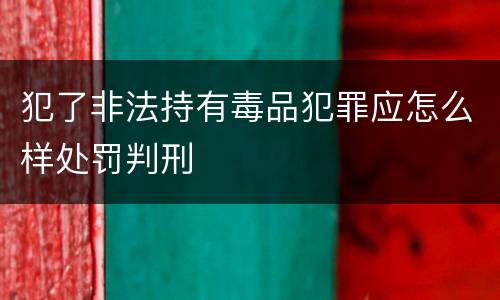 犯了非法持有毒品犯罪应怎么样处罚判刑