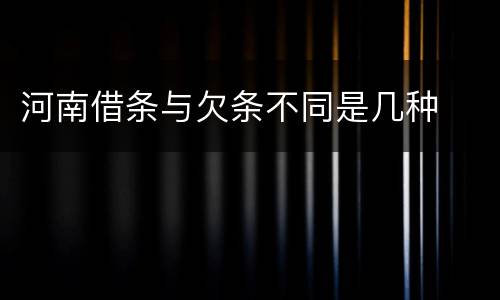 河南借条与欠条不同是几种