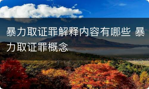 暴力取证罪解释内容有哪些 暴力取证罪概念