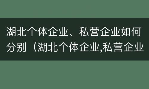 湖北个体企业、私营企业如何分别（湖北个体企业,私营企业如何分别缴纳社保）