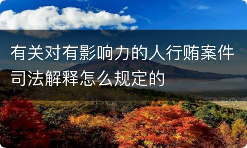 有关对有影响力的人行贿案件司法解释怎么规定的