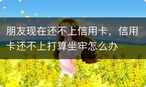 朋友现在还不上信用卡，信用卡还不上打算坐牢怎么办