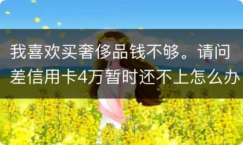 我喜欢买奢侈品钱不够。请问差信用卡4万暂时还不上怎么办