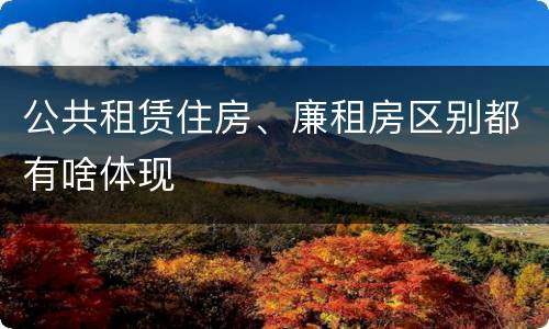 公共租赁住房、廉租房区别都有啥体现