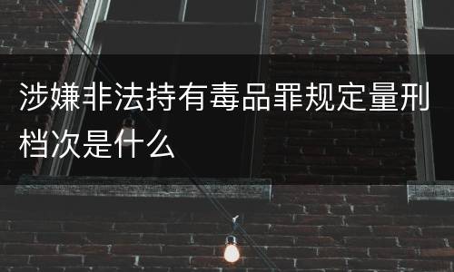 涉嫌非法持有毒品罪规定量刑档次是什么