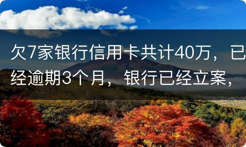 欠7家银行信用卡共计40万，已经逾期3个月，银行已经立案，请问我被判刑几年