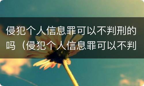 侵犯个人信息罪可以不判刑的吗（侵犯个人信息罪可以不判刑的吗怎么判）