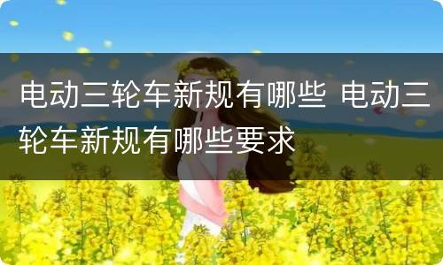 电动三轮车新规有哪些 电动三轮车新规有哪些要求