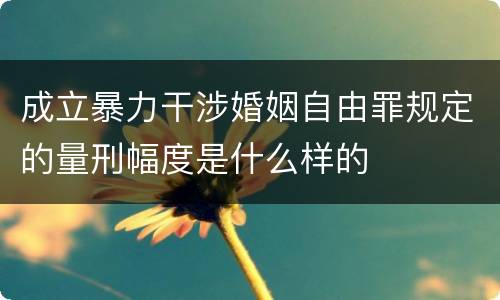 成立暴力干涉婚姻自由罪规定的量刑幅度是什么样的
