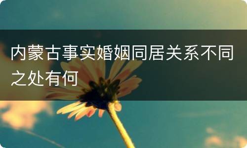 内蒙古事实婚姻同居关系不同之处有何