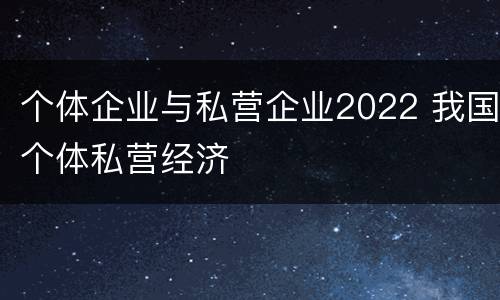 个体企业与私营企业2022 我国个体私营经济