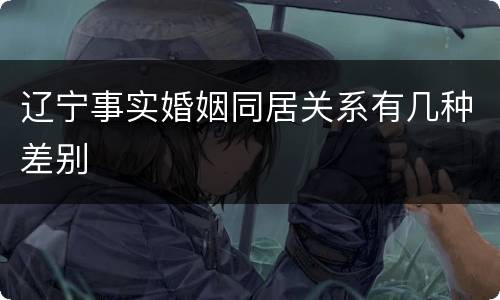辽宁事实婚姻同居关系有几种差别