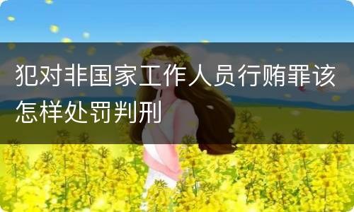 犯对非国家工作人员行贿罪该怎样处罚判刑