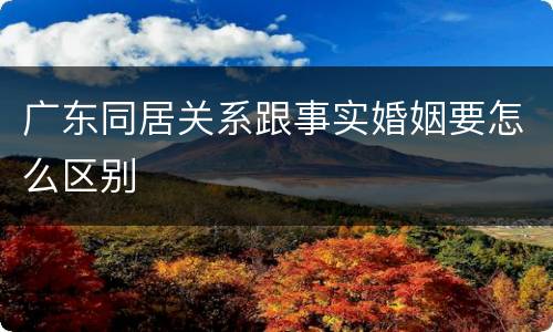 广东同居关系跟事实婚姻要怎么区别