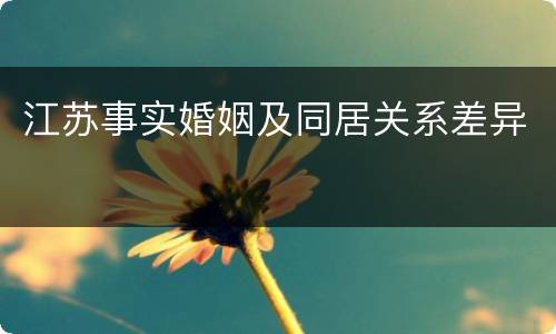 江苏事实婚姻及同居关系差异