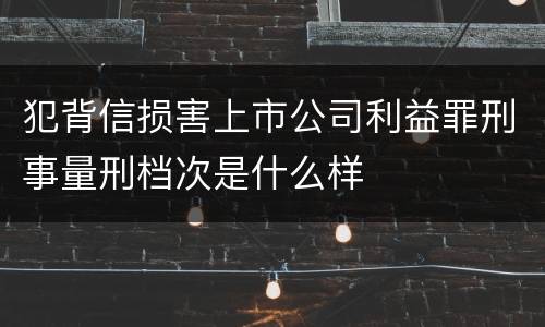 犯背信损害上市公司利益罪刑事量刑档次是什么样