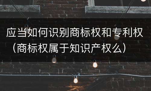 应当如何识别商标权和专利权（商标权属于知识产权么）