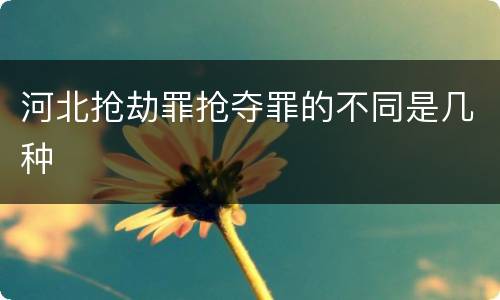河北抢劫罪抢夺罪的不同是几种