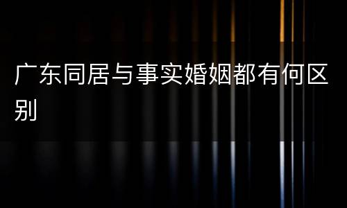 广东同居与事实婚姻都有何区别