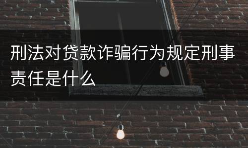 刑法对贷款诈骗行为规定刑事责任是什么