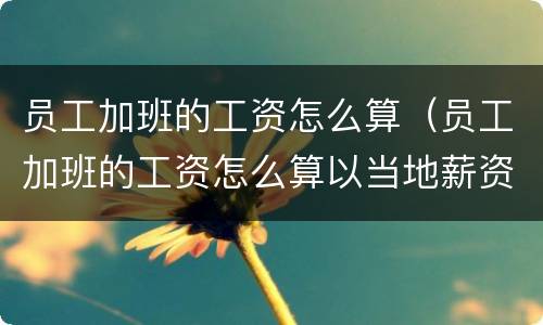 员工加班的工资怎么算(员工加班的工资怎么算以当地薪资计算吗)