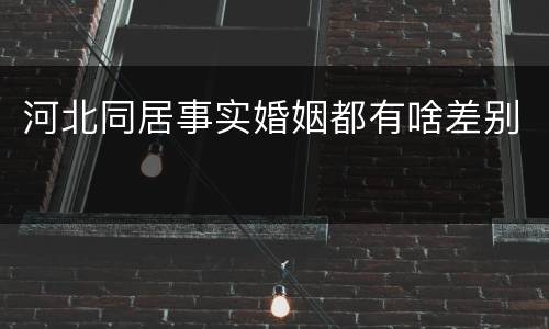 河北同居事实婚姻都有啥差别