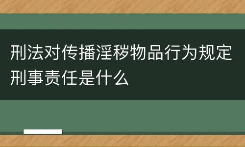 刑法对传播淫秽物品行为规定刑事责任是什么