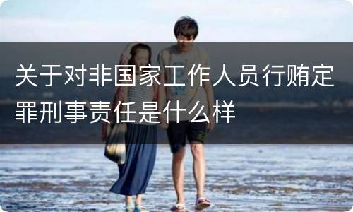 关于对非国家工作人员行贿定罪刑事责任是什么样
