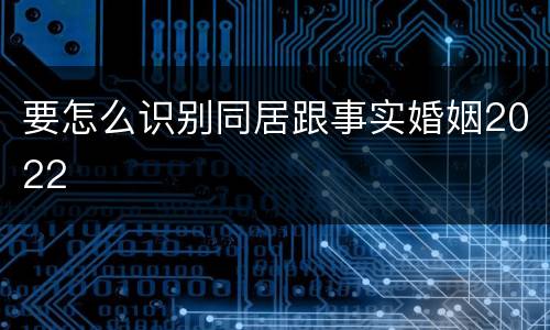 要怎么识别同居跟事实婚姻2022