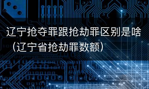 辽宁抢夺罪跟抢劫罪区别是啥（辽宁省抢劫罪数额）