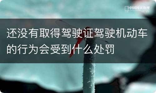 还没有取得驾驶证驾驶机动车的行为会受到什么处罚
