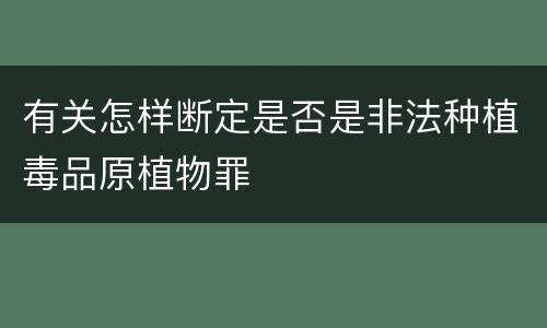 有关怎样断定是否是非法种植毒品原植物罪