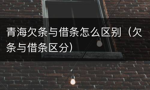 青海欠条与借条怎么区别（欠条与借条区分）