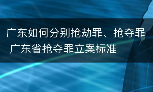 广东如何分别抢劫罪、抢夺罪 广东省抢夺罪立案标准