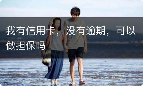我有信用卡，没有逾期，可以做担保吗
