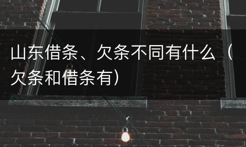 山东借条、欠条不同有什么（欠条和借条有）