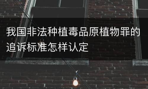 我国非法种植毒品原植物罪的追诉标准怎样认定