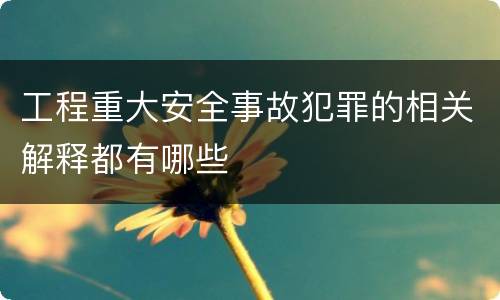 工程重大安全事故犯罪的相关解释都有哪些