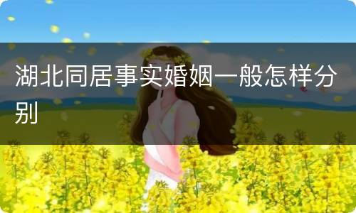 湖北同居事实婚姻一般怎样分别