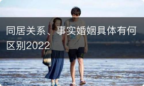 同居关系、事实婚姻具体有何区别2022