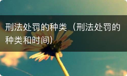 刑法处罚的种类（刑法处罚的种类和时间）