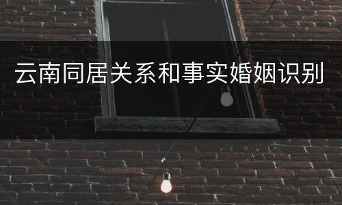 云南同居关系和事实婚姻识别