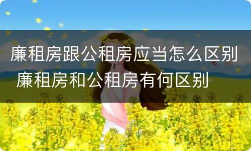 廉租房跟公租房应当怎么区别 廉租房和公租房有何区别