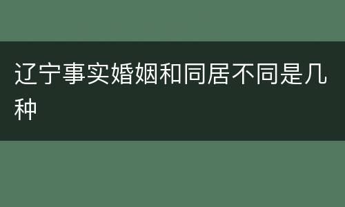辽宁事实婚姻和同居不同是几种