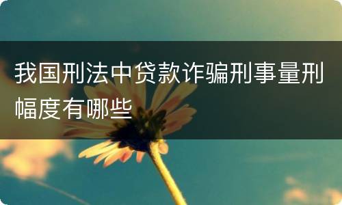 我国刑法中贷款诈骗刑事量刑幅度有哪些