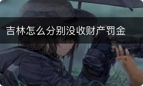 吉林怎么分别没收财产罚金