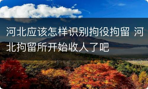 河北应该怎样识别拘役拘留 河北拘留所开始收人了吧