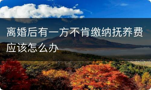 离婚后有一方不肯缴纳抚养费应该怎么办