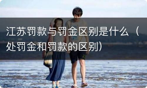 江苏罚款与罚金区别是什么（处罚金和罚款的区别）