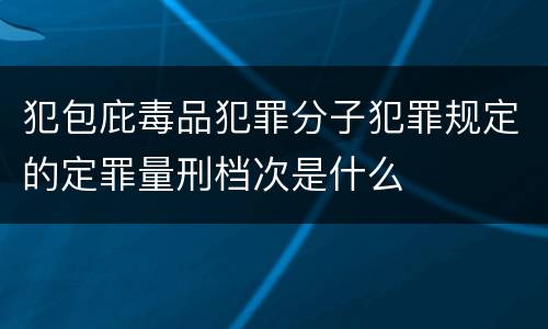 犯包庇毒品犯罪分子犯罪规定的定罪量刑档次是什么